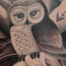 Tattoos - Owl backpiece detail - 119777